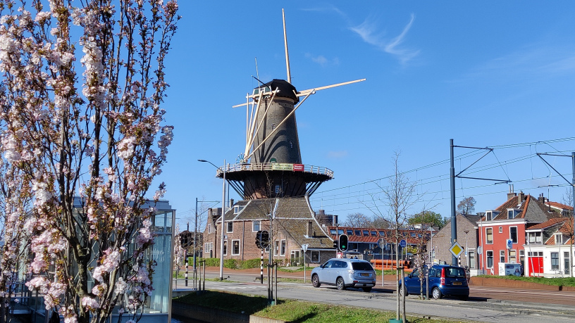 Molen de Roos – A still functioning, historic windmill